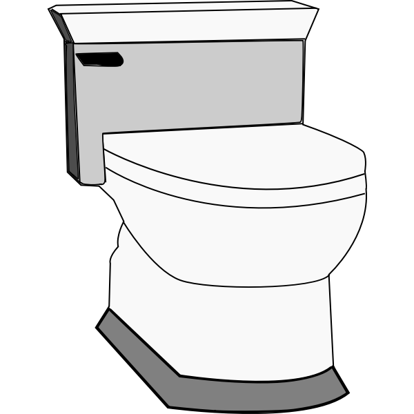 How to Descale Toilets