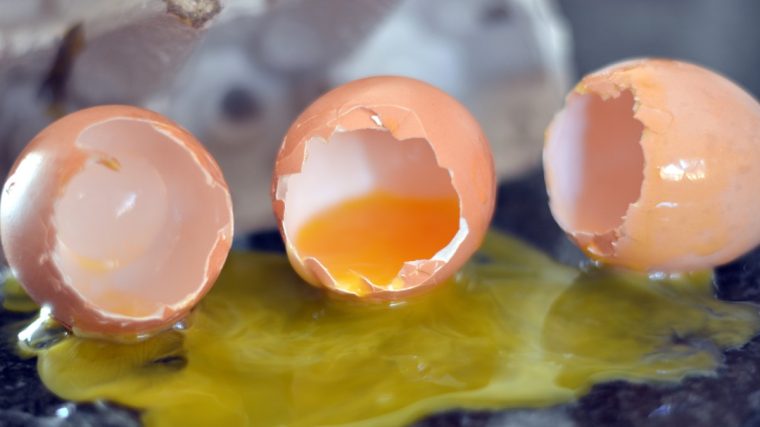 Tips for Removing an Egg Stain