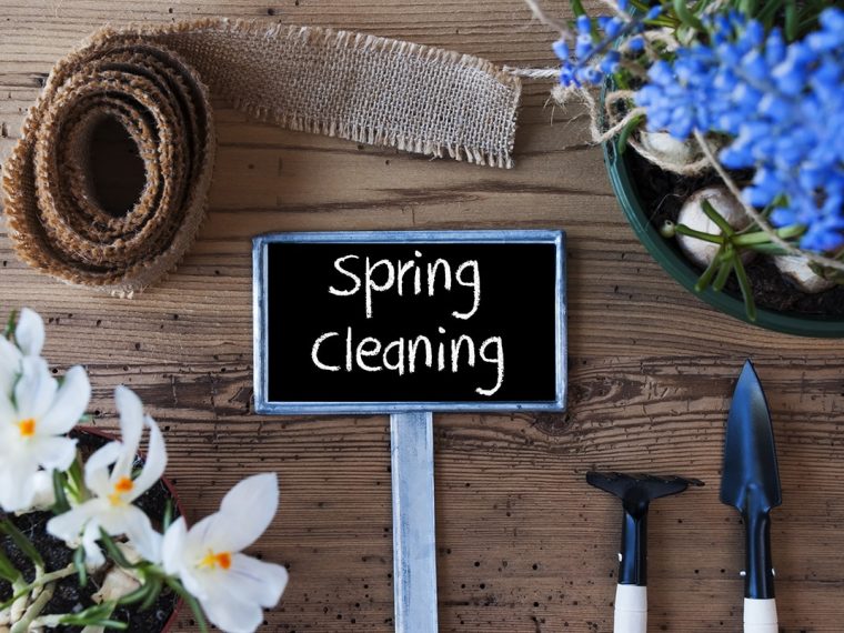 Spring Cleaning: Refreshing Your Home and Mind for the New Season