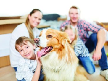Keeping a Clean Home with Children and Pets: Tips and Strategies for a Tidy and Happy Household